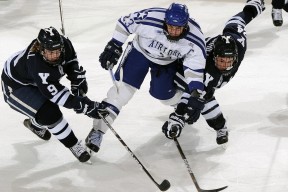 开云下载-篮球校园文化节融合艺术设计提升学生参与创意空间，校园篮球文化活动