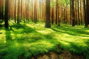 KAIYUNAPP-数字技术赋能青少年裁判，推动行业公平公正持续改善，数字技术大赛是什么